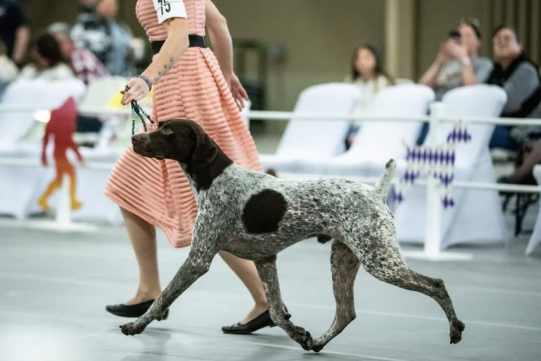 Monticello Ranch Kennels