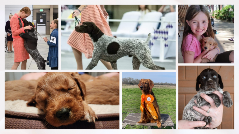 Lutheran South Academy – 2023 LSA Gala Hollywood Hills Prom Night